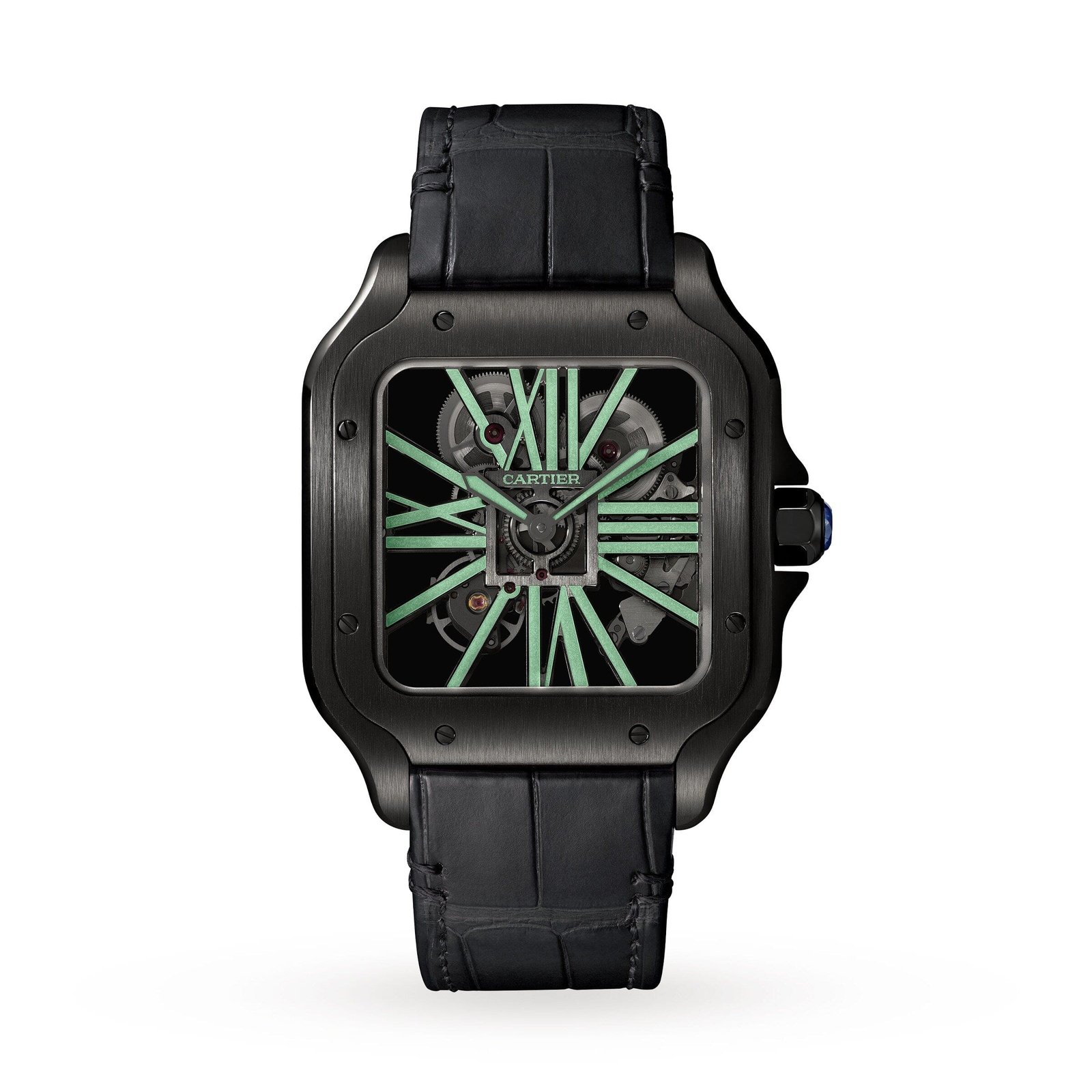 Santos de Ca*t1er Skeleton