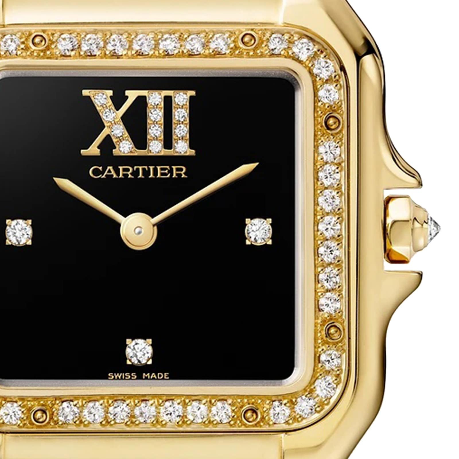 Panthère de Ca*t1er
