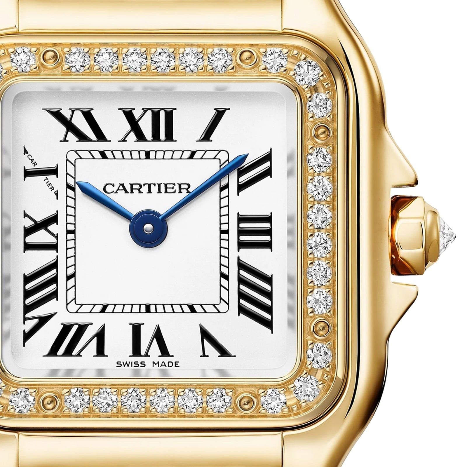 Panthère De Ca*t1er Watch