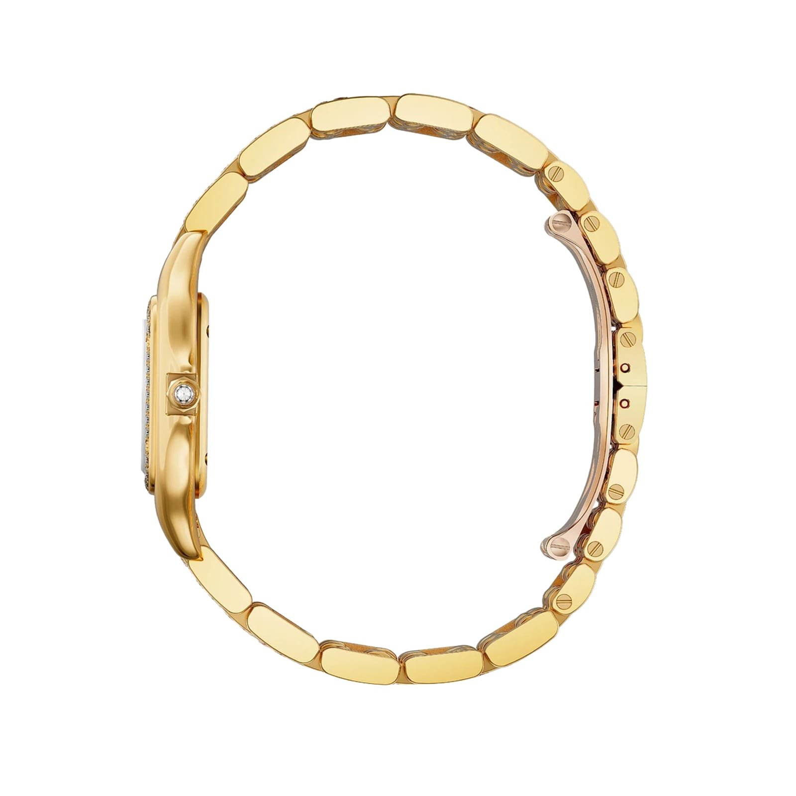 Panthère De Ca*t1er Watch
