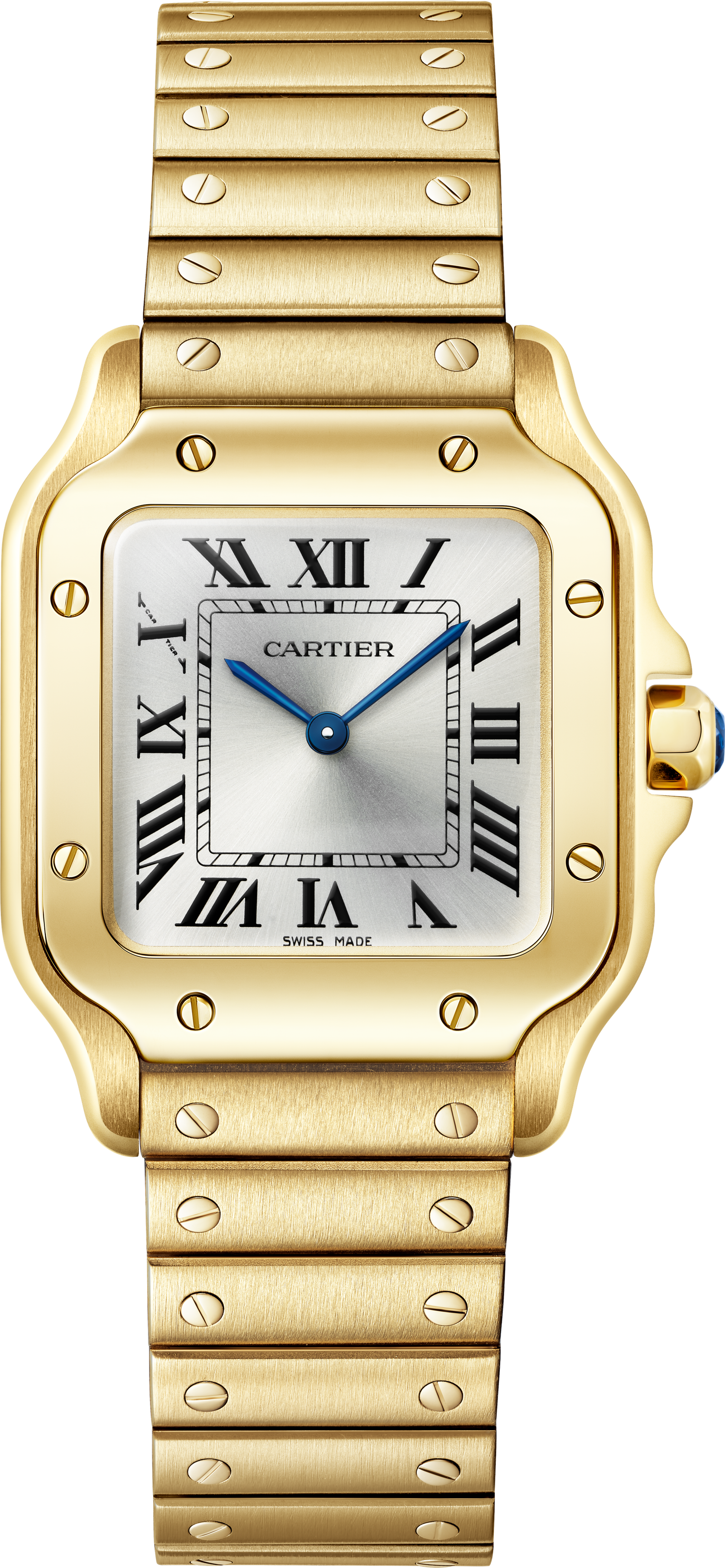 Santos De Ca*t1er Watch