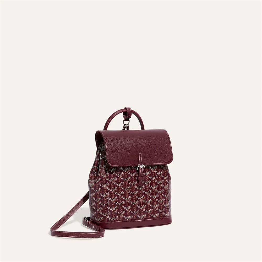 G09ard Alpin Mini Backpack