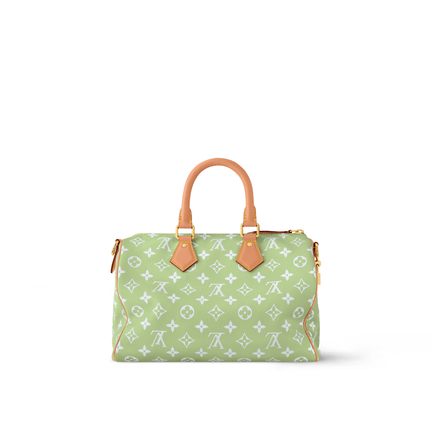 L0vis Vvtt0n M14064 SPEEDY P9 BANDOULIÈRE 30 BAG (top quality)